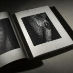 Thumbnail of 